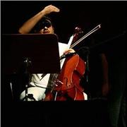 professeur de violoncelle